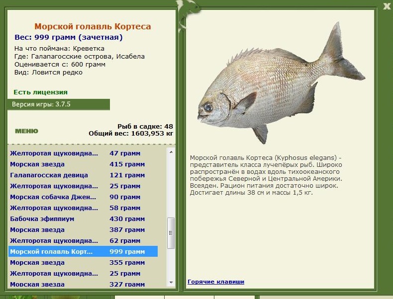 Галапагосские острова 
