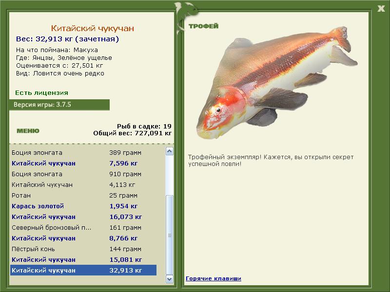Китайский чукучан 