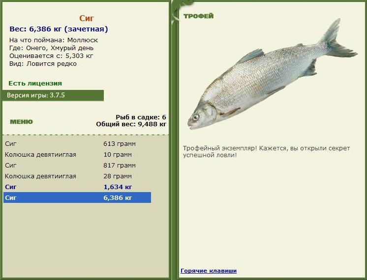 Хмурый день 