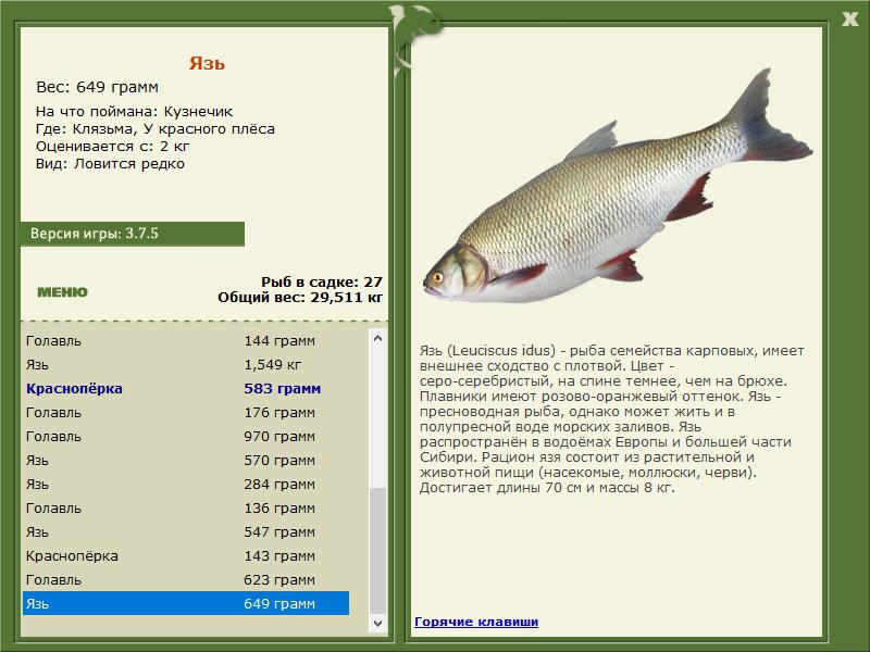 РУССКАЯ РЫБАЛКА Installsoft Edition 