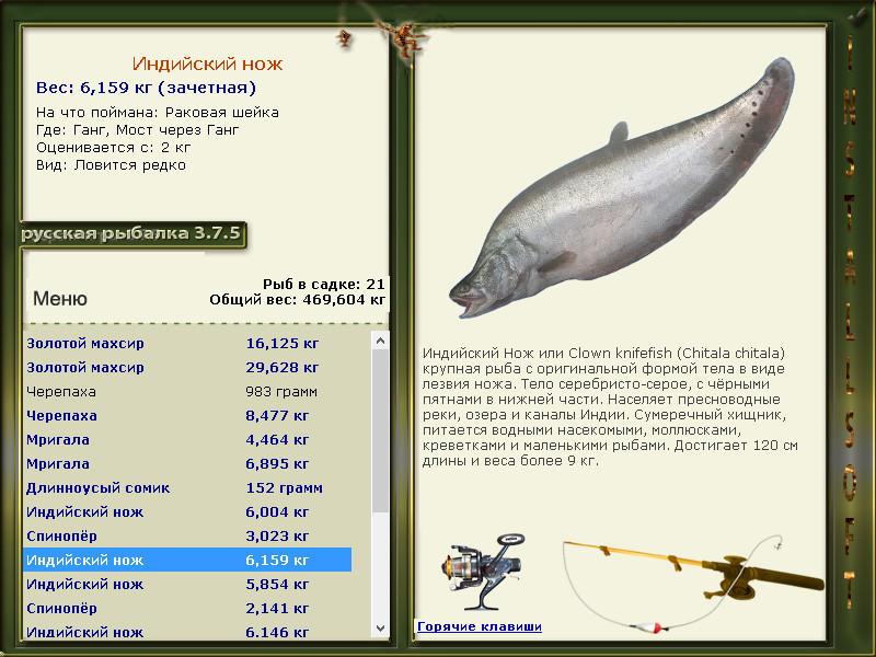 РУССКАЯ РЫБАЛКА Installsoft Edition 