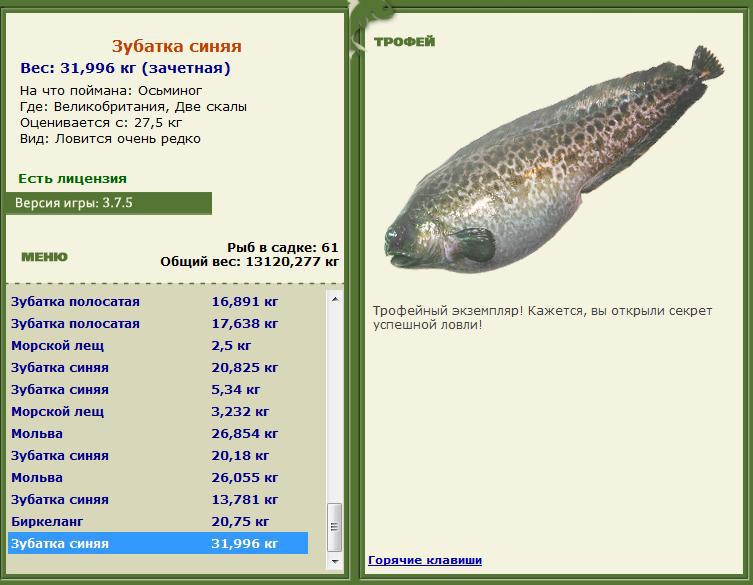 турниры • РУССКАЯ РЫБАЛКА