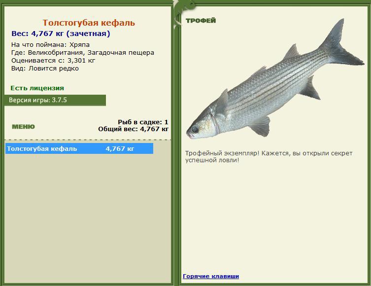 турниры • РУССКАЯ РЫБАЛКА