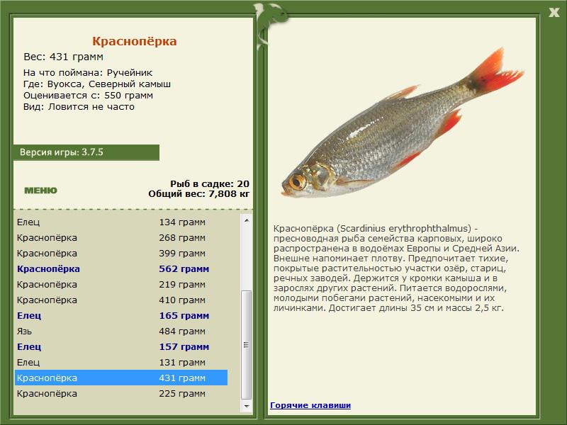 РУССКАЯ РЫБАЛКА Installsoft Edition 