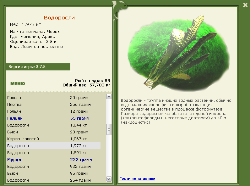 турниры • РУССКАЯ РЫБАЛКА