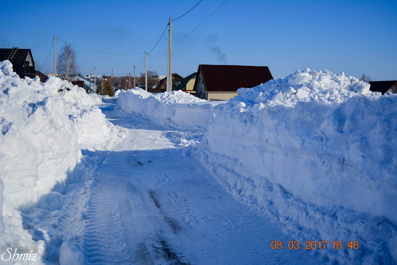  Колли в Жемчужине Кузбасса (г.Прокопьевск)