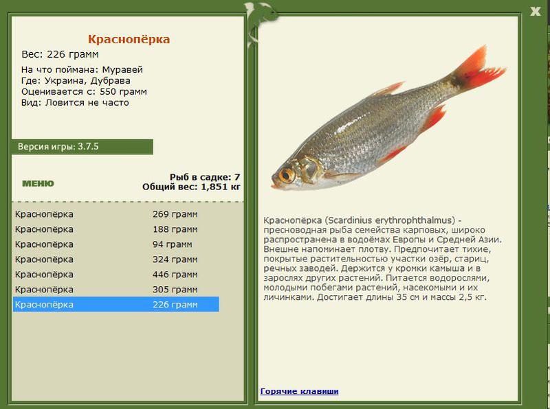 РУССКАЯ РЫБАЛКА Installsoft Edition 