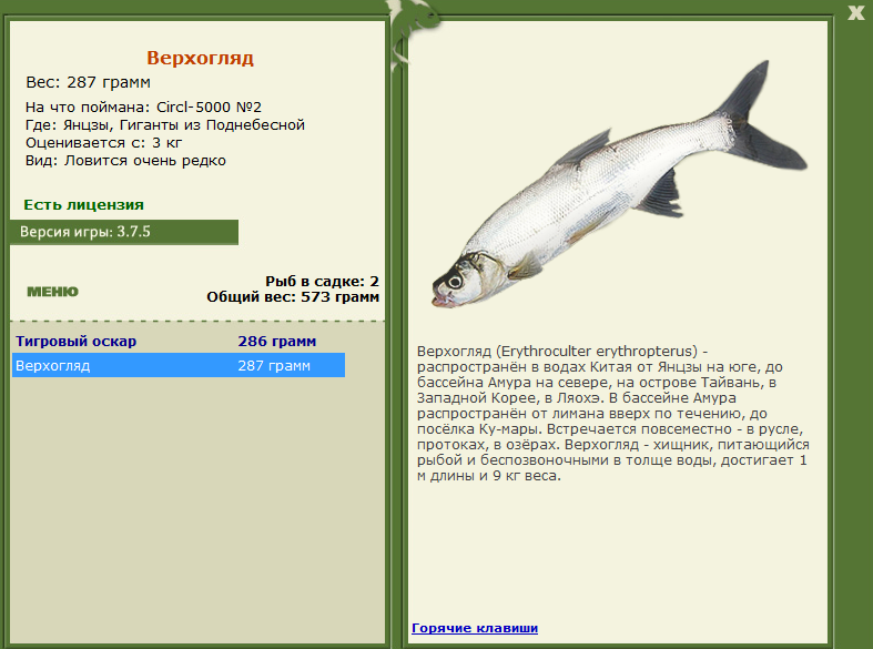 Гиганты из Поднебесной 
