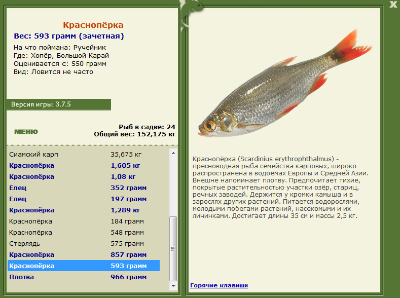 Большой Карай 