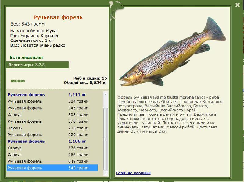 РУССКАЯ РЫБАЛКА Installsoft Edition 