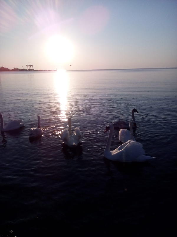  Страница 6 - Форум \\