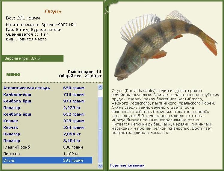 Бурные потоки 