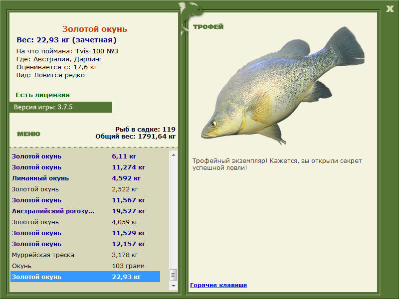 Золотой окунь 