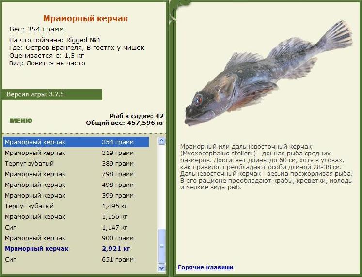 В гостях у мишек 