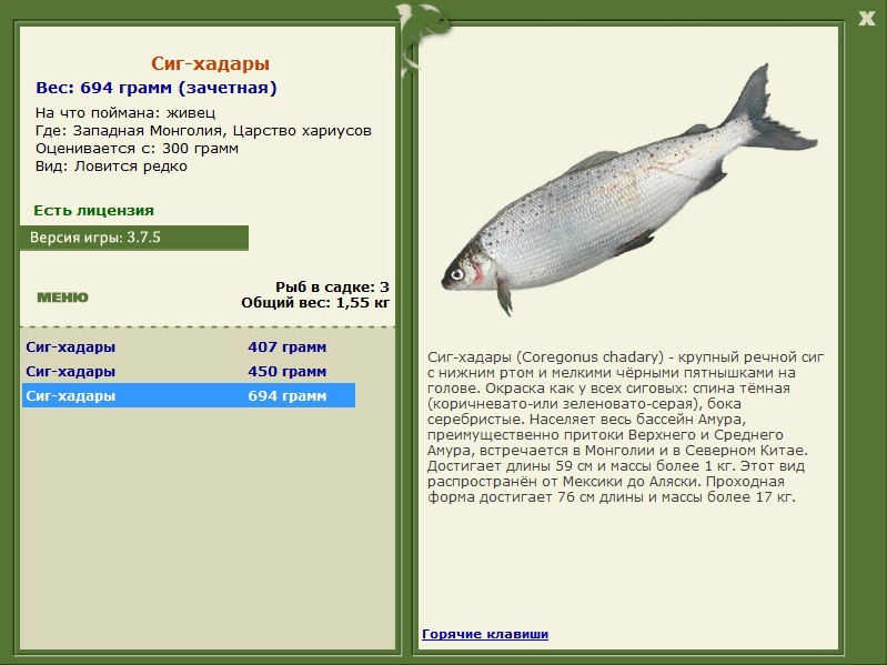 Царство хариусов 