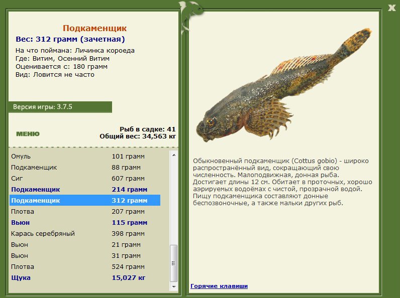 Осенний Витим 