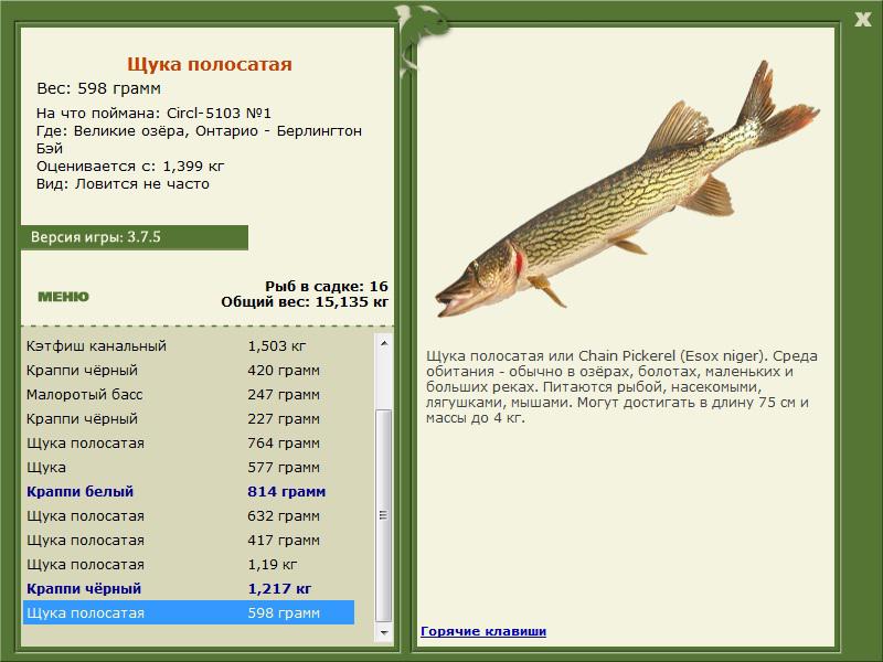 РУССКАЯ РЫБАЛКА Installsoft Edition 