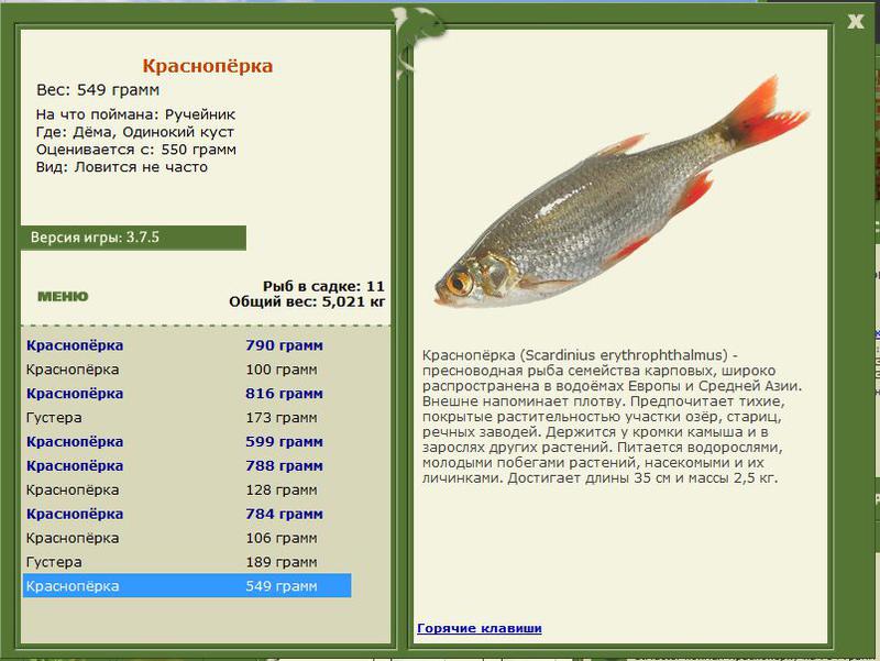 РУССКАЯ РЫБАЛКА Installsoft Edition 
