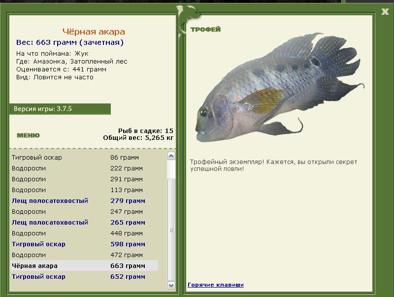 Чёрная акара 