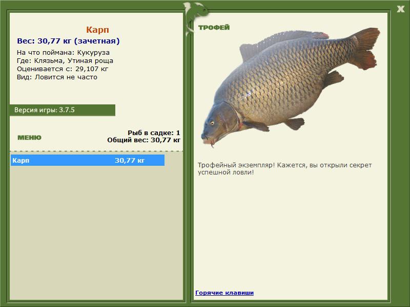 РУССКАЯ РЫБАЛКА Installsoft Edition 