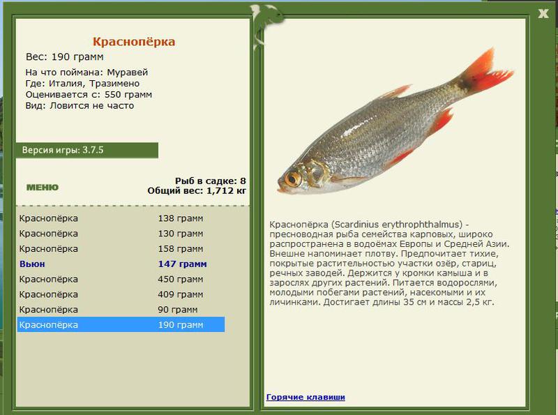 РУССКАЯ РЫБАЛКА Installsoft Edition 