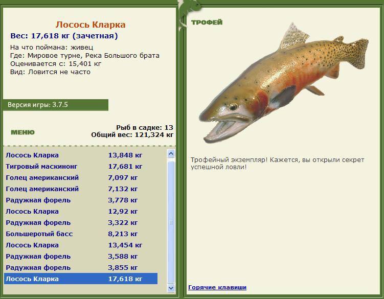 Лосось Кларка 