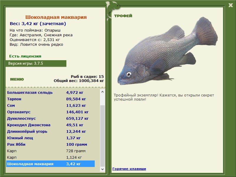 Снежная река 