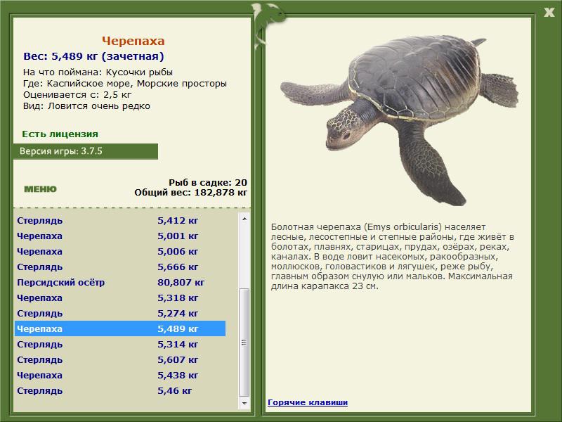 Морские просторы 