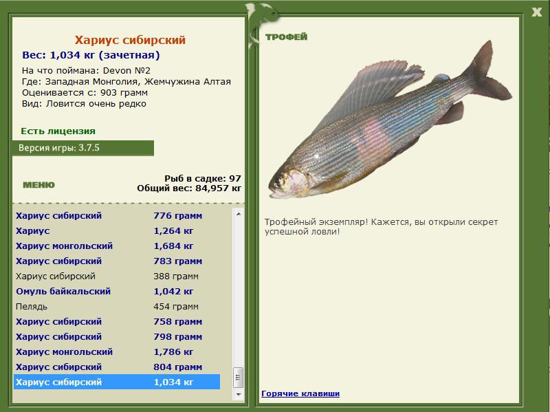 Жемчужина Алтая 