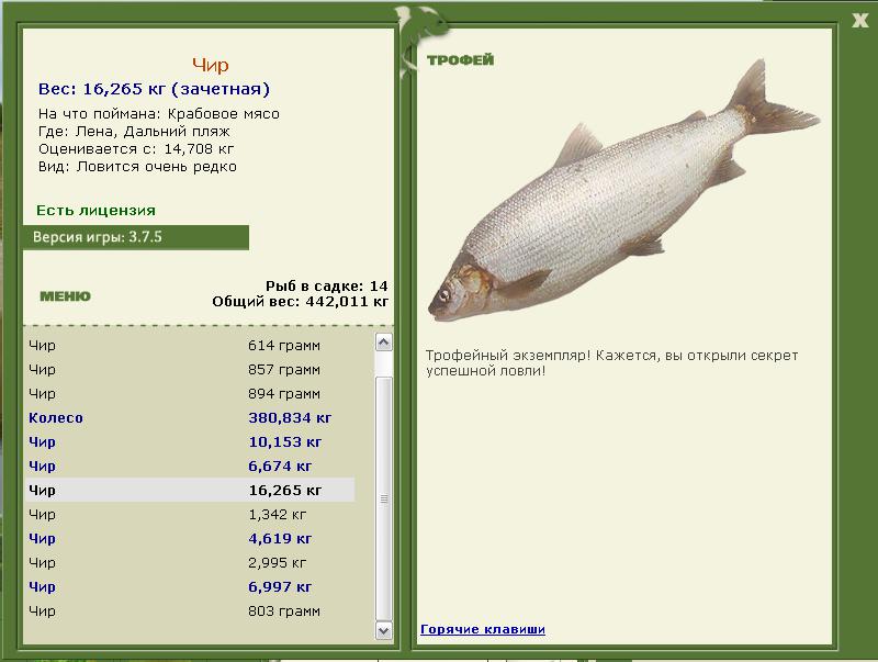 Дальний пляж 