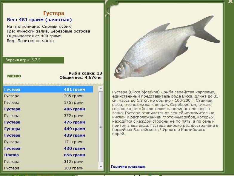 Берёзовые острова 