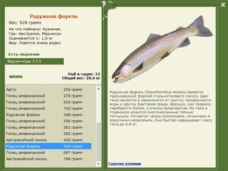 Мурчисон 