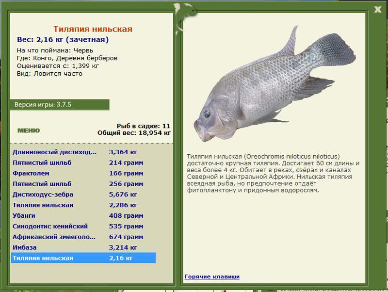 РУССКАЯ РЫБАЛКА Installsoft Edition 