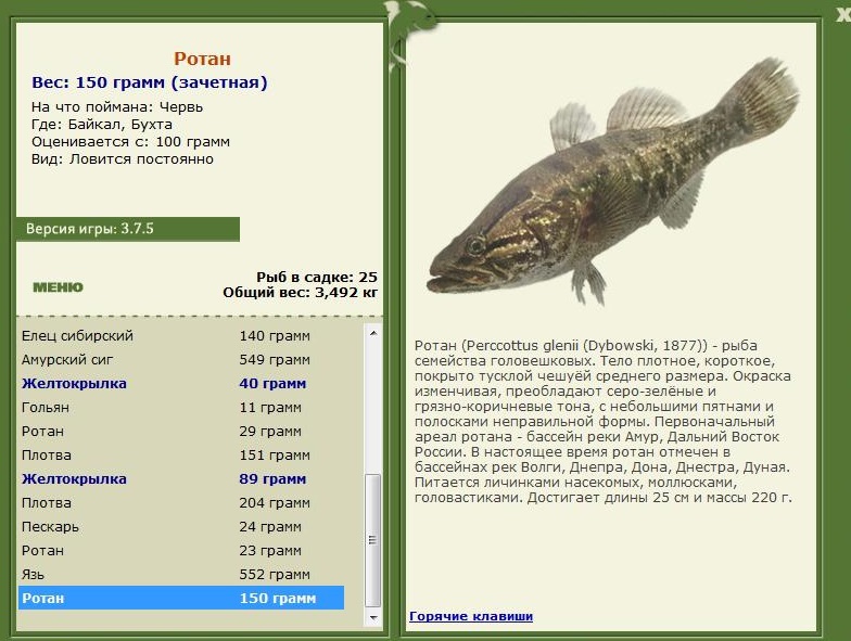 Бухта 