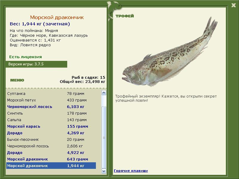 Морской дракончик 