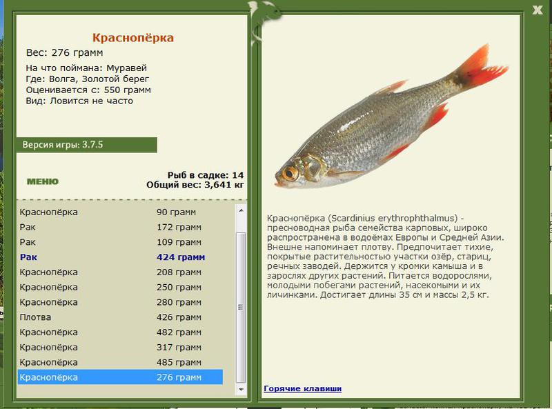 РУССКАЯ РЫБАЛКА Installsoft Edition 