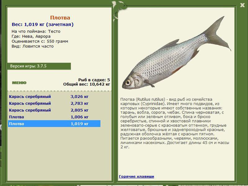 РУССКАЯ РЫБАЛКА Installsoft Edition 