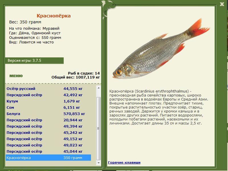 РУССКАЯ РЫБАЛКА Installsoft Edition 