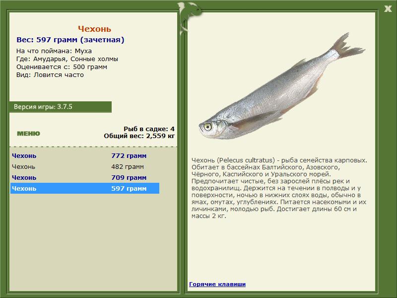 РУССКАЯ РЫБАЛКА Installsoft Edition 