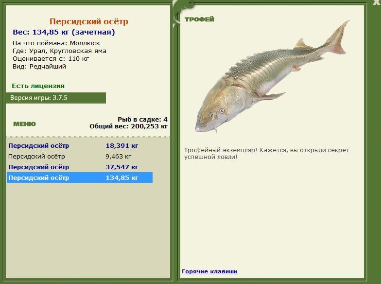 Персидский осётр 