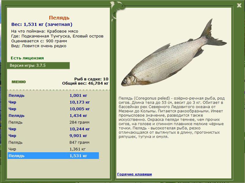 РУССКАЯ РЫБАЛКА Installsoft Edition 