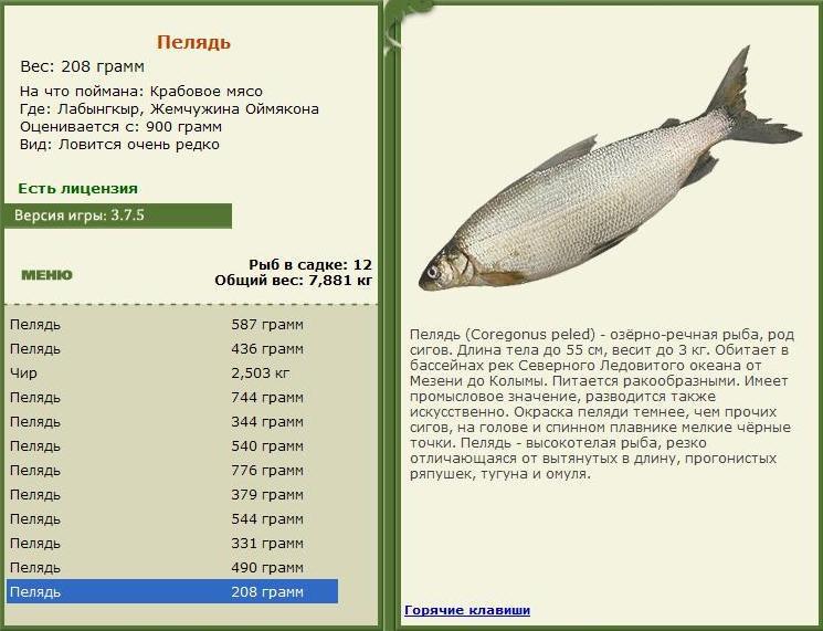 Жемчужина Оймякона 