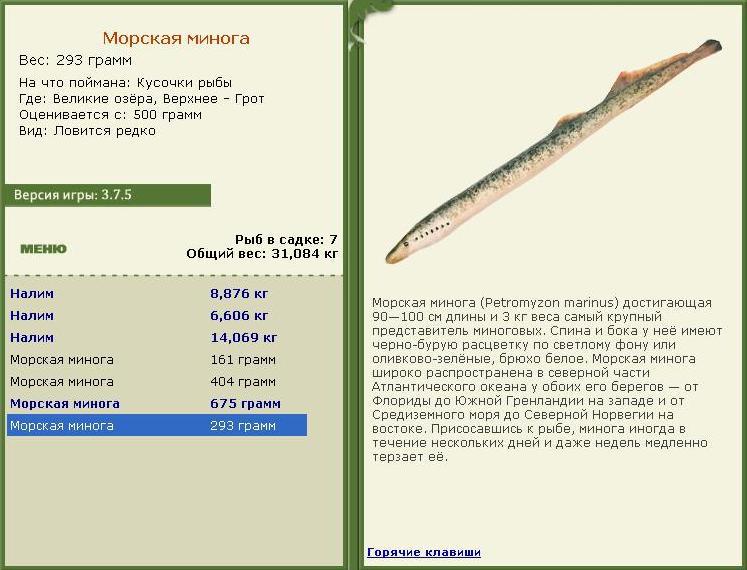  Грот • Великие Американские озёра • РУССКАЯ РЫБАЛКА