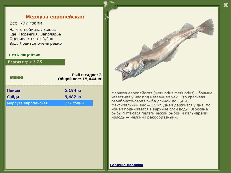 турниры • РУССКАЯ РЫБАЛКА