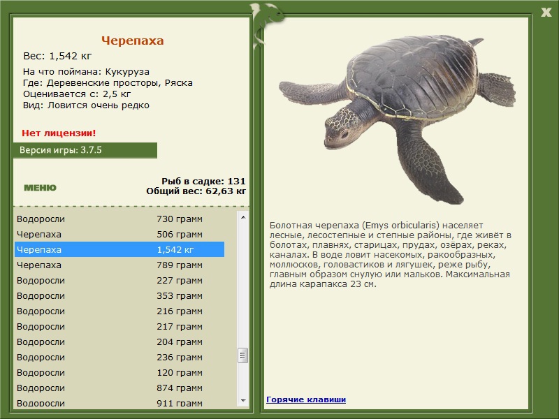 Ряска 