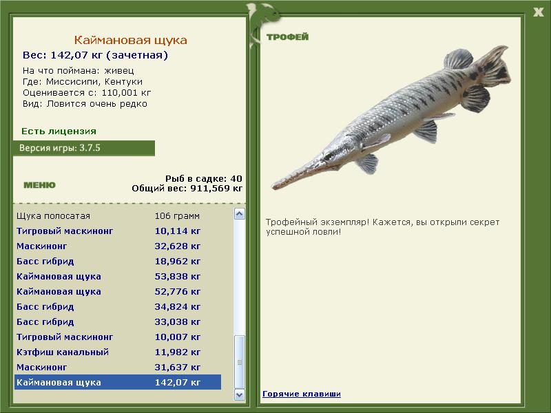 Каймановая щука 