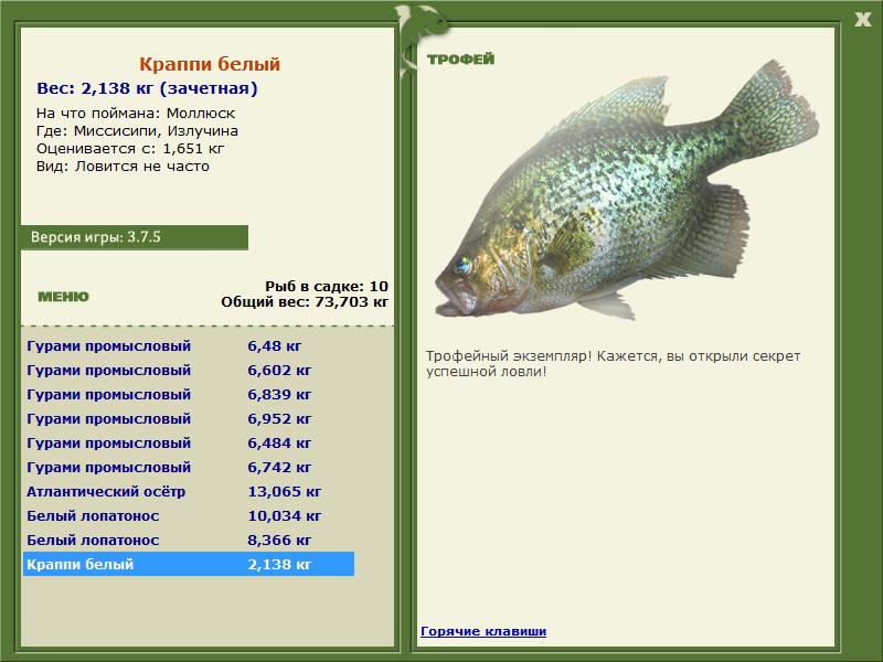 Излучина 