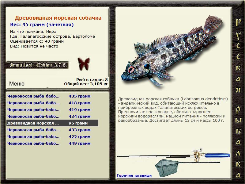 Баги и глюки 