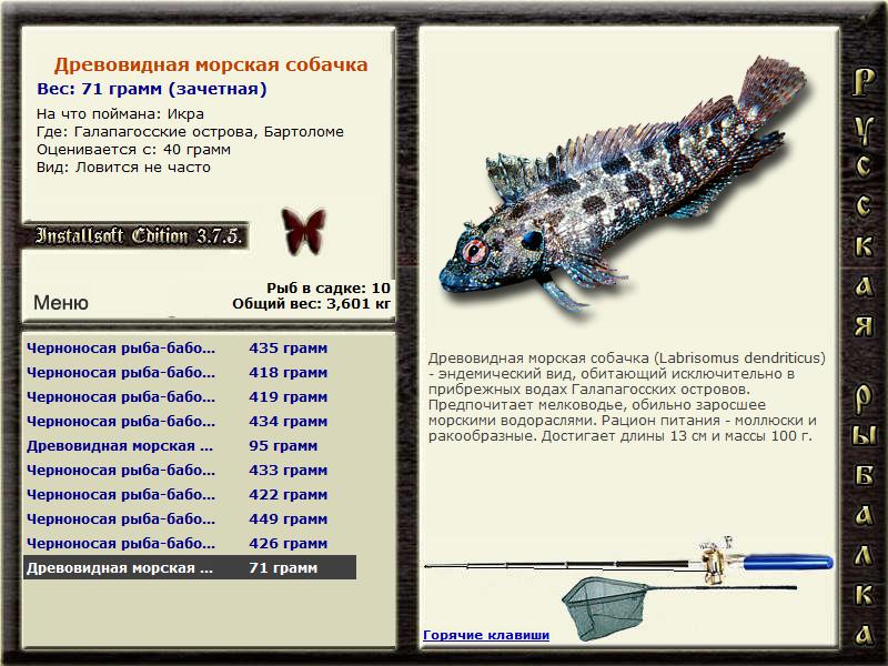 Баги и глюки 