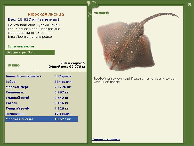 Морская лисица 
